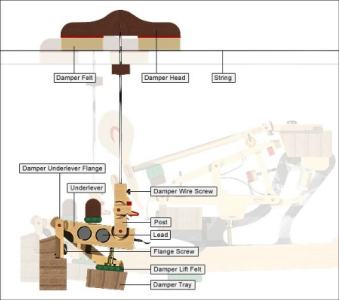 Grand Piano Action interactive guide. Grand Piano Action interactive guide.